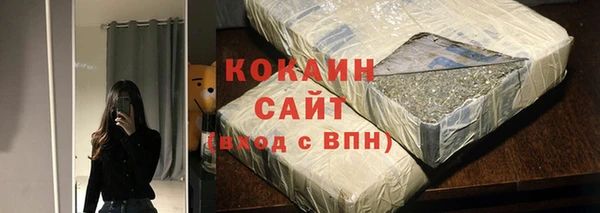 твердый Аркадак