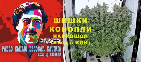 твердый Аркадак
