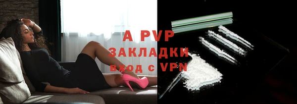 твердый Аркадак
