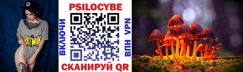 Псилоцибиновые грибы Cubensis Терек
