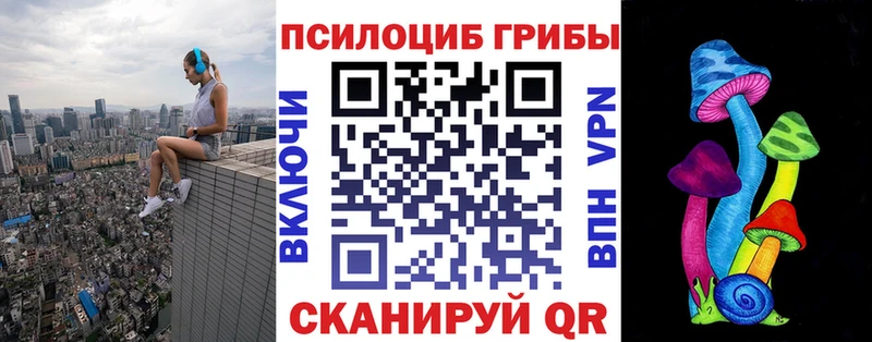 Галлюциногенные грибы Psilocybe  Терек 