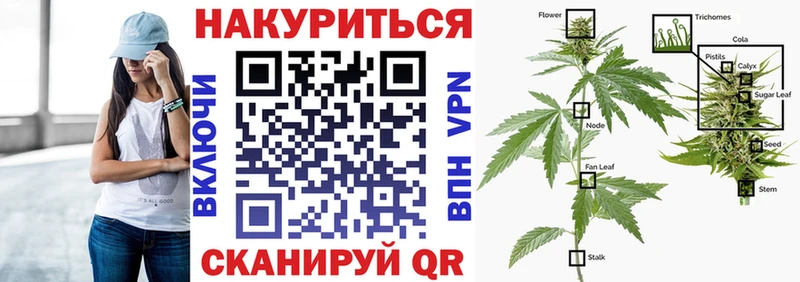 Конопля гибрид  Терек 
